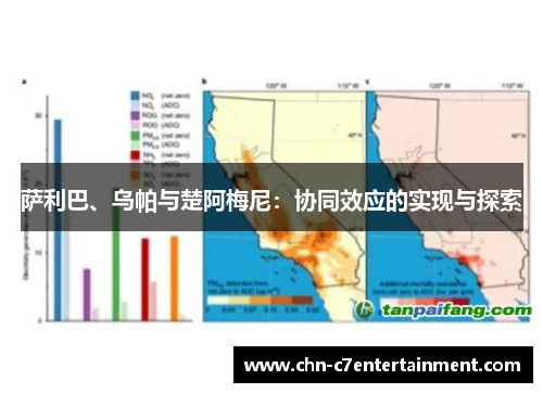 萨利巴、乌帕与楚阿梅尼:协同效应的实现与探索 萨利巴、乌帕与楚阿梅尼:协同效应的实现与探索