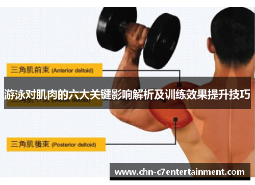 游泳对肌肉的六大关键影响解析及训练效果提升技巧 游泳对肌肉的六大关键影响解析及训练效果提升技巧