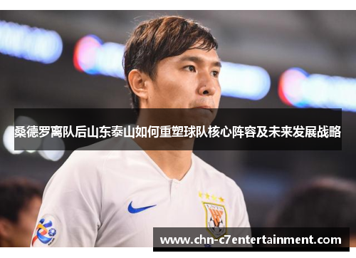 桑德罗离队后山东泰山如何重塑球队核心阵容及未来发展战略 桑德罗离队后山东泰山如何重塑球队核心阵容及未来发展战略