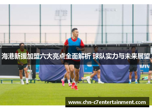 海港新援加盟六大亮点全面解析 球队实力与未来展望 海港新援加盟六大亮点全面解析 球队实力与未来展望