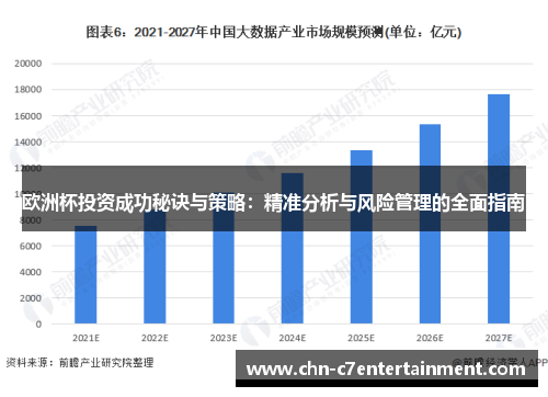 欧洲杯投资成功秘诀与策略：精准分析与风险管理的全面指南