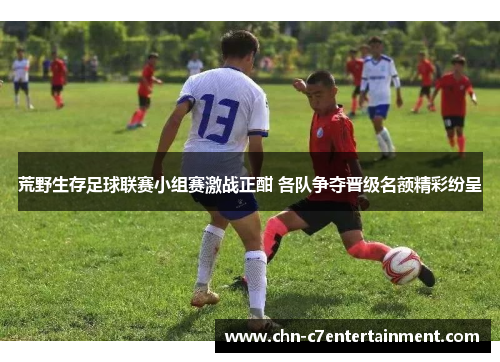 荒野生存足球联赛小组赛激战正酣 各队争夺晋级名额精彩纷呈 荒野生存足球联赛小组赛激战正酣 各队争夺晋级名额精彩纷呈