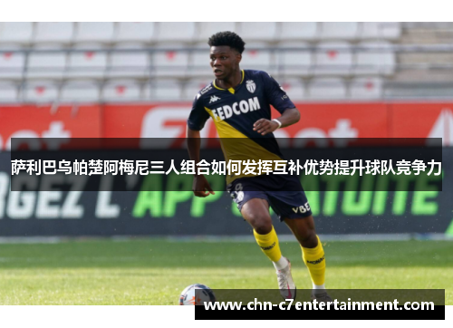 萨利巴乌帕楚阿梅尼三人组合如何发挥互补优势提升球队竞争力