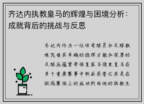 齐达内执教皇马的辉煌与困境分析：成就背后的挑战与反思